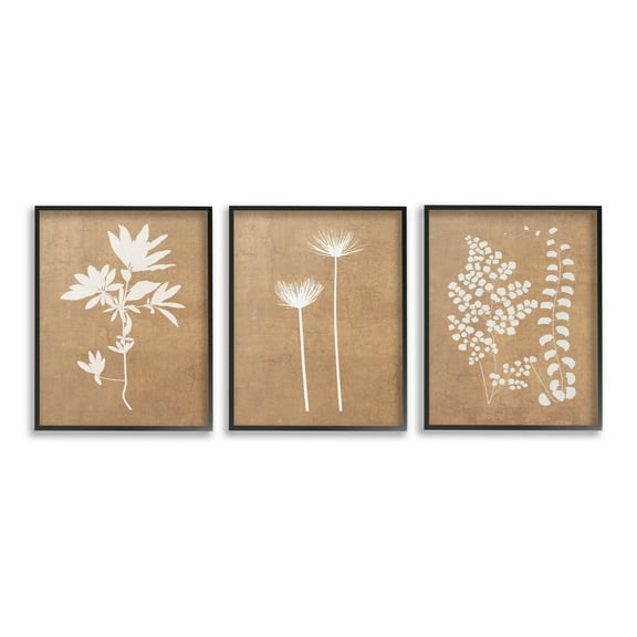 Stupell Industries Nature Botanical Silhouettes Botanical & Floral Painting Black Framed Art Print Wall Art, 11 x 14, Set of 3