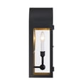 thumbnail image 5 of Grotto 2-Light Outdoor Wall Lantern in Matte Black with Vintage Gold, 5 of 5