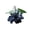 A, variant on LLDYYDS Artificial Blueberry Stems with Berries, Blue Christmas Fruit Decor, DIY Floral Arrangement, Artificial Flowers