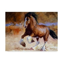 Trademark Fine Art 'Rumis Run' Canvas Art by Carolyne Hawley