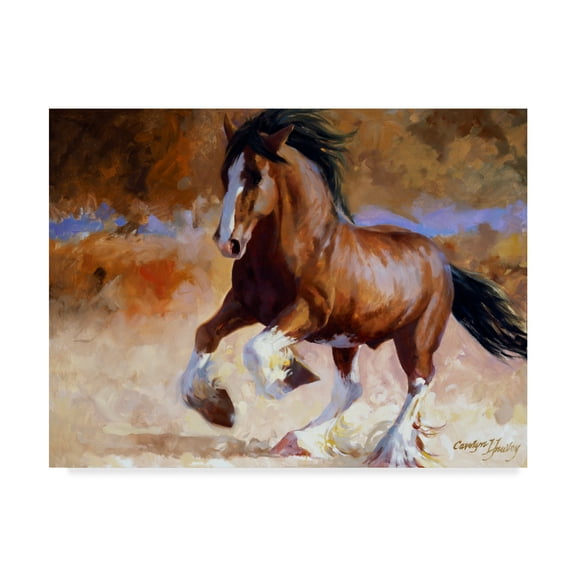 Trademark Fine Art 'Rumis Run' Canvas Art by Carolyne Hawley