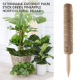 thumbnail image 2 of Moss Pole 40cm Moss Pole For Cheese Plant, Stackable Moss Stick And Ties, Coir Plant Support Indoor, 2 of 5