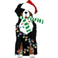 thumbnail image 2 of CafePress - Christmas Bernese Mt Holiday Dog Long Sleeve T Shi - Long Sleeve Infant T-Shirt, 2 of 2