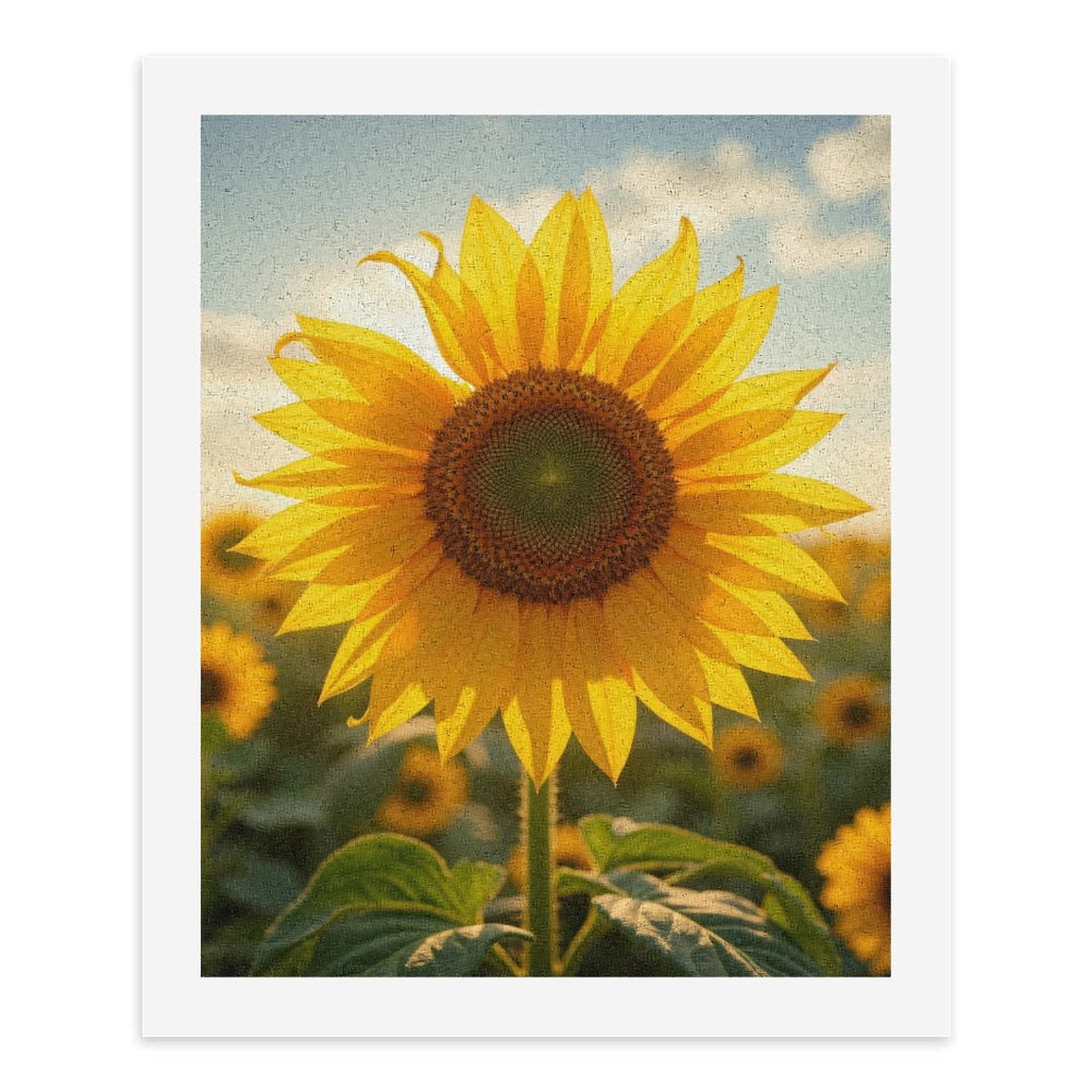 Paint by Numbers Kit for Adults, Sunflower Field Golden Blooms Paint by Numbers, Easy Paint by Numbers Kit for Adults Beginner, DIY Adult Paint by Number Kits on Canvas, Home Decor