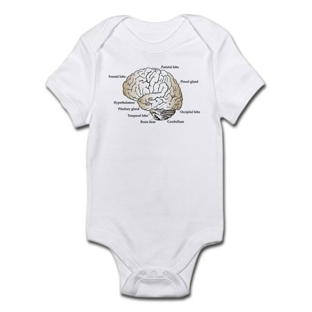

CafePress - Brain Section Infant Bodysuit - Baby Light Bodysuit
