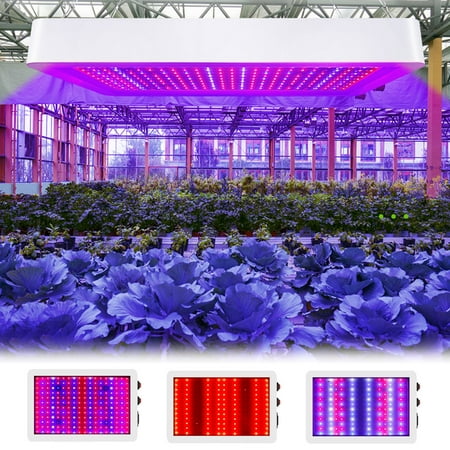 

Rwvbm LED Plant Grow Light Board - 216 Beads for Succulents Potted Plants Greenhouse Full Spectrum Plant Lighting Plant Grow Lamp Deals Savings(White)