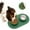 Green, variant on Stainless Steel Double Pet Bowl with Non- Silicone Mat Durable Dog Cat Feeder Dish for Indoor Outdoor Use