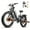 Wander-GRAY, variant on WILDEWAY Dual Motors 2600W Electric Bike for Adult 26'', UL2849 48V 30AH Removable Battery E-mountain bike 4.0 Fat Tire up to 32MPH Long Range Off-road Ebike Beach Dual Hydraulic&Brakes Bicycle