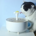 thumbnail image 2 of Dispensador de agua para mascotas, filtro de circulación automático, dispensador de agua para gatos, alimentador de agua inteligente para mascotas, agua corriente para gatitos, 2 of 5