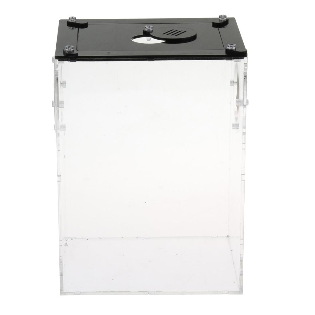 Fzaqwen Acrylic Reptile Terrariums Plant Feeding Tank Lizard Breeding Box Reptiles