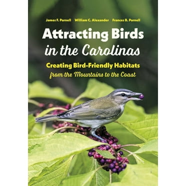 Attracting Birds in the Carolinas: Creating Bird-Friendly Habitats from the Mountains to the Coast (Paperback)