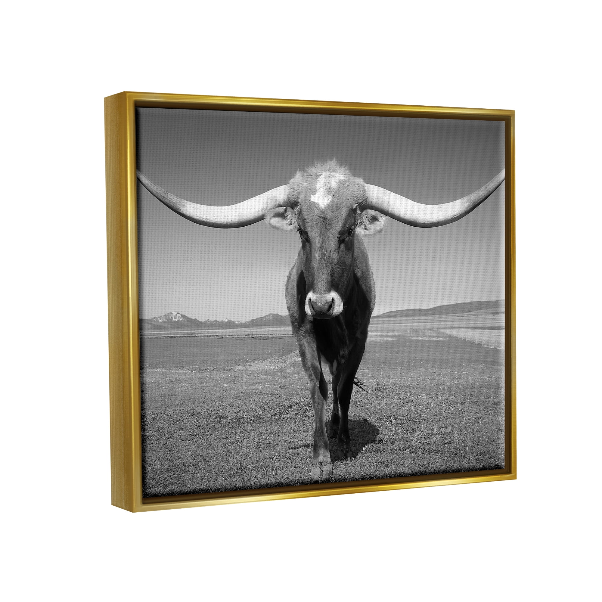 Stupell Industries Longhorn in Countryside Landscape Photography Gold Floater Framed Canvas Art Print Wall Art, 31 x 25