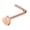 Rose gold, variant on QIQUWOHUL Stainless Steel Nose Rings Hoop Studs Body Piercing Jewelry Nose Ring Hoop For Women,Nostril Piercing Jewelry