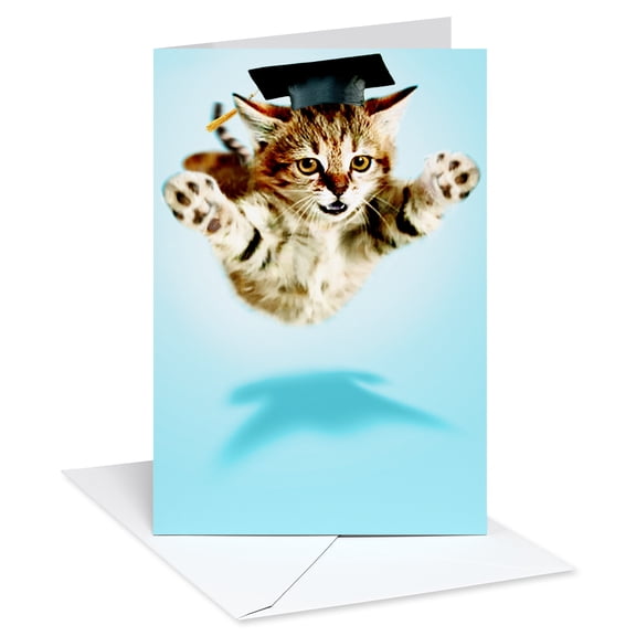 American Greetings Graduation Card for Graduate (Leaping Kitten)