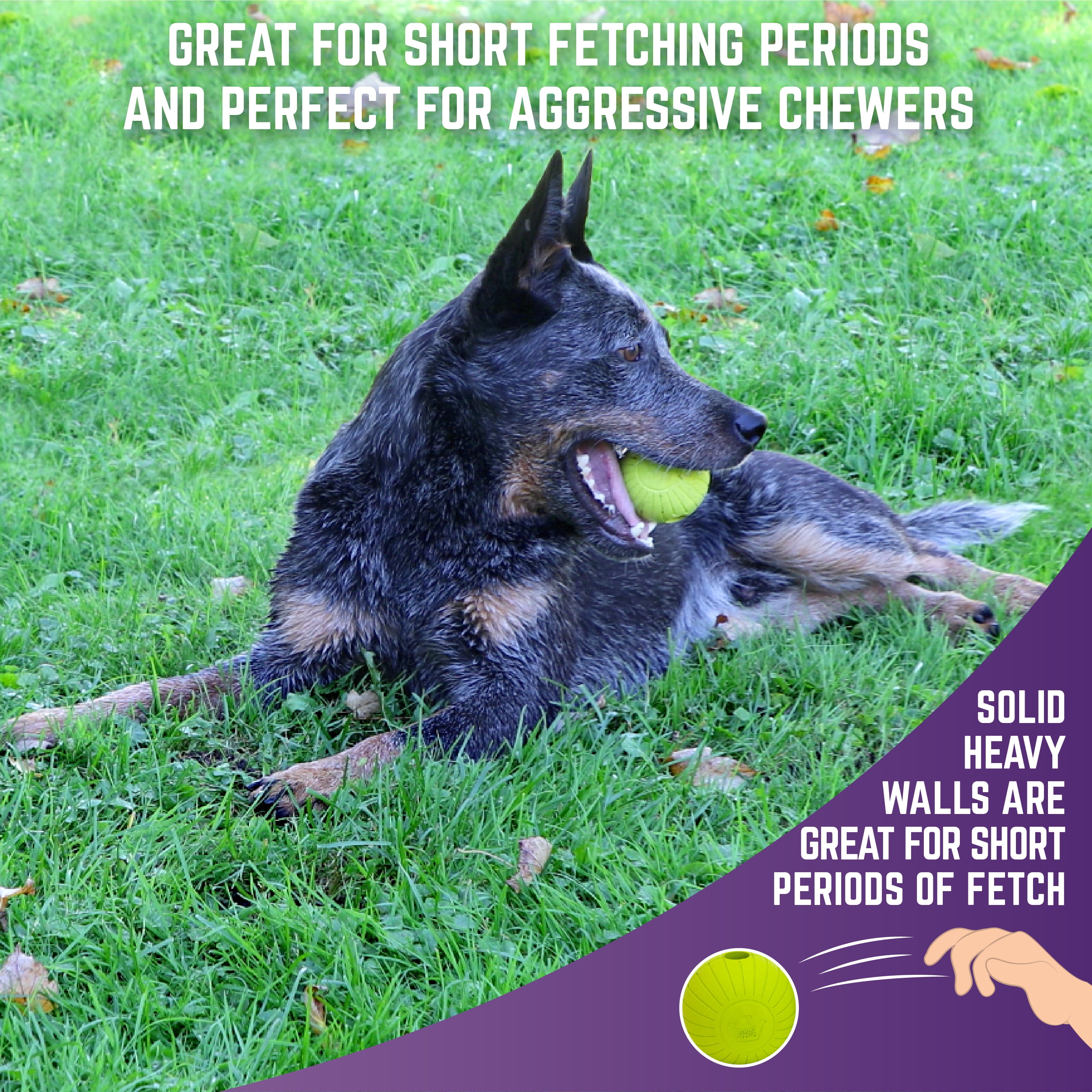 Chew King by Mammoth Supreme Extra Large Natural Rubber Dog Fetch Balls, Extra Durable 2.5” Dog Toy Balls, 2-Pack