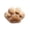 Beige, variant on WKSCLPAI Cat Paw Shaped Plush Throw Pillow, Soft Fluffy Stuffed Decorative Pillow for Couch Sofa Bedroom, Aesthetic Room Decor Gift for Cat Lovers