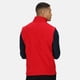 thumbnail image 2 of Regatta - Chaleco polar para hombre (Rojo), 2 of 3