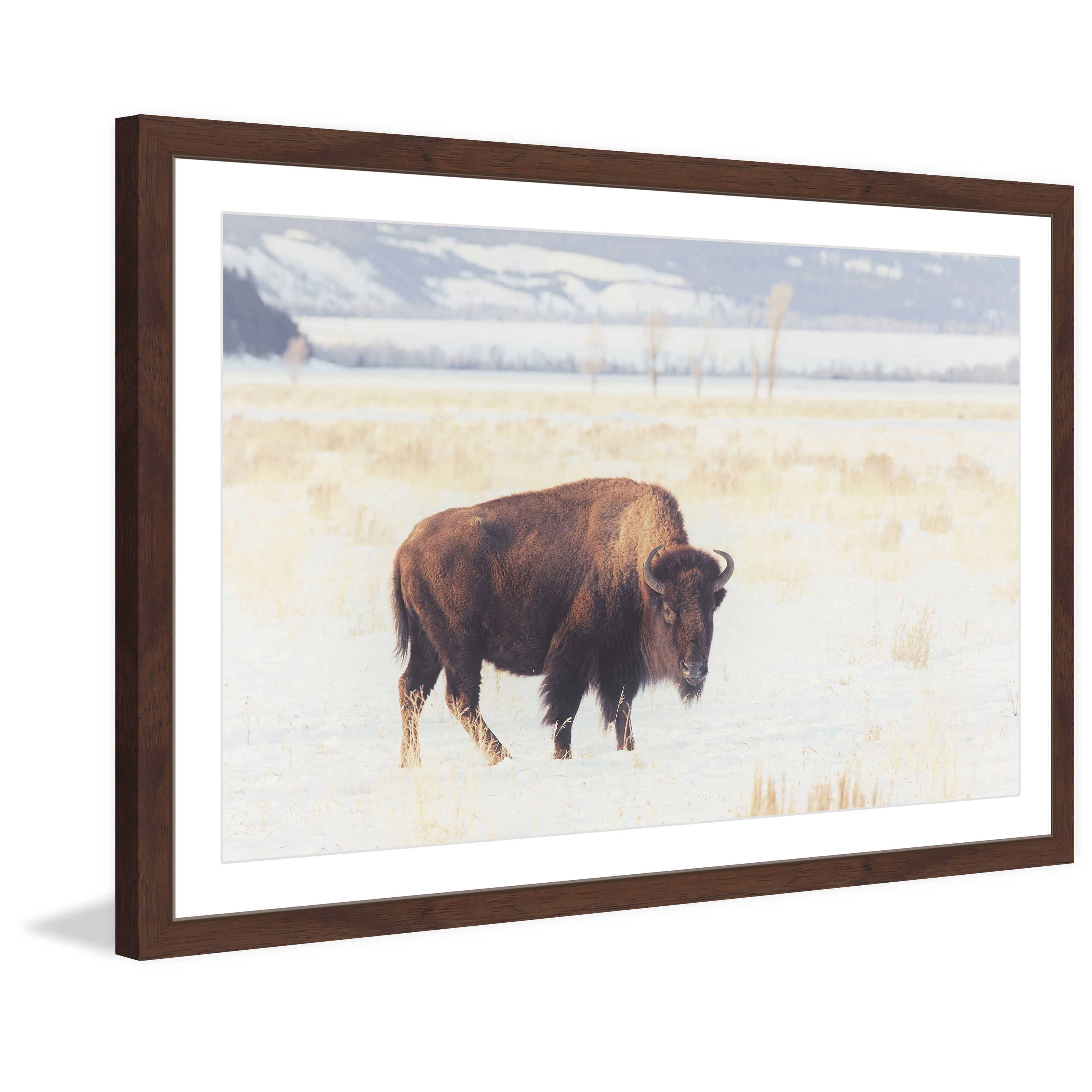 Marmont Hill "Curious Beast" Framed Painting Print