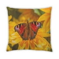 thumbnail image 2 of Ahgly Company Insects Butterfly Outdoor Throw Pillow, 18 inch by 18 inch, 2 of 6
