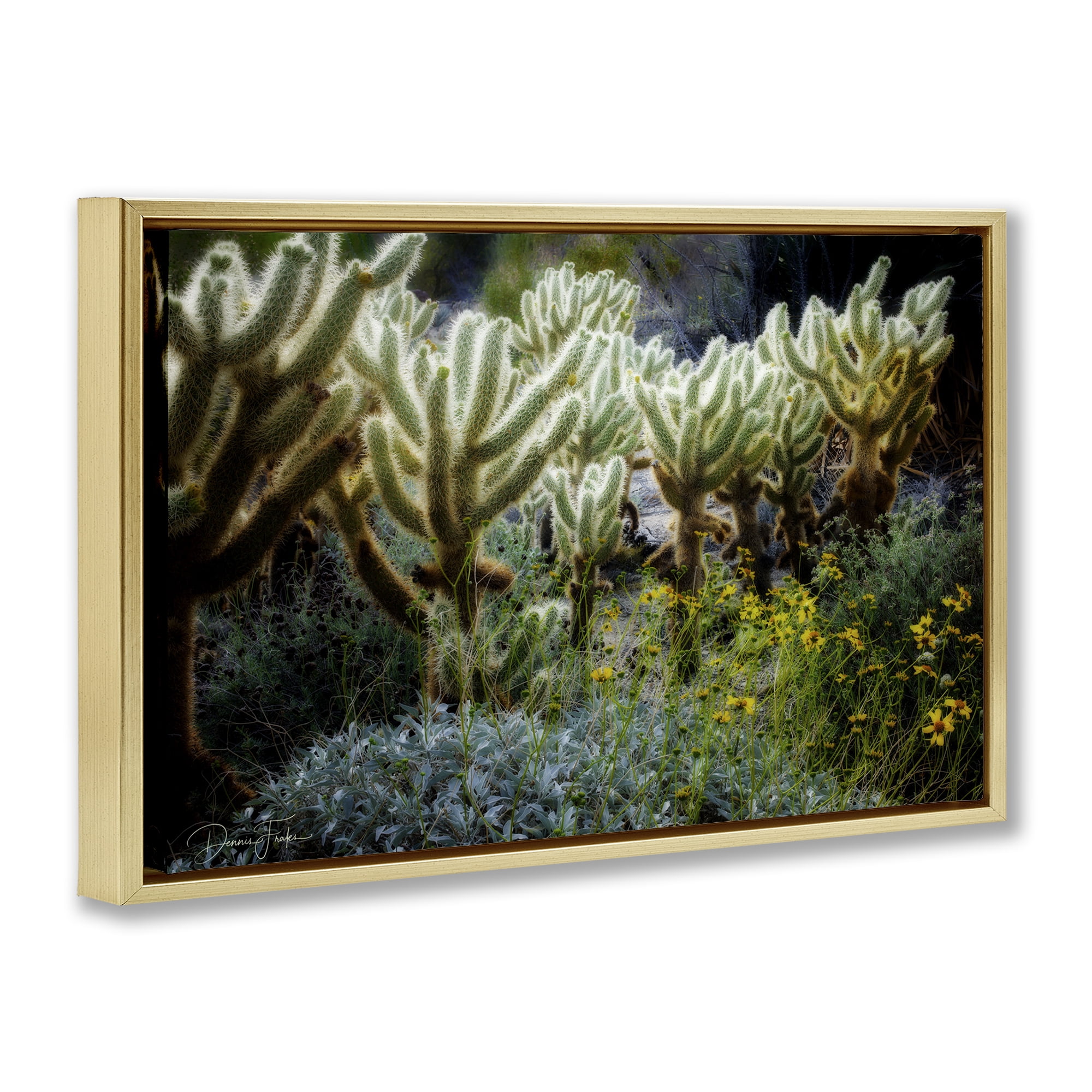 Stupell Industries Desert Cactus Forest Landscape Photography Gold Floater Framed Canvas Art Print Wall Art, 25 x 17
