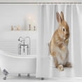 thumbnail image 4 of Rabbit Sitting on The Toilet Thinking Bathroom Shower Curtains with Hooks, Abstract Funny Animal Waterproof Fabric Washable Shower Curtain for Home Hotel Bathtub Decor 54x78 Inch, 4 of 9