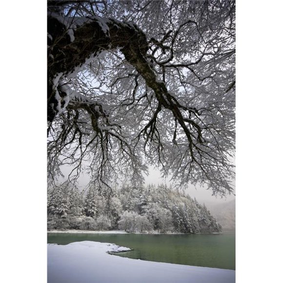 Posterazzi DPI1851447LARGE Snowy Shoreline of A Lake - Bellingham Washington USA Poster Print, Large - 24 x 38