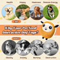 thumbnail image 3 of Pelota interactiva recargable para perros Huimpet, 3 of 7