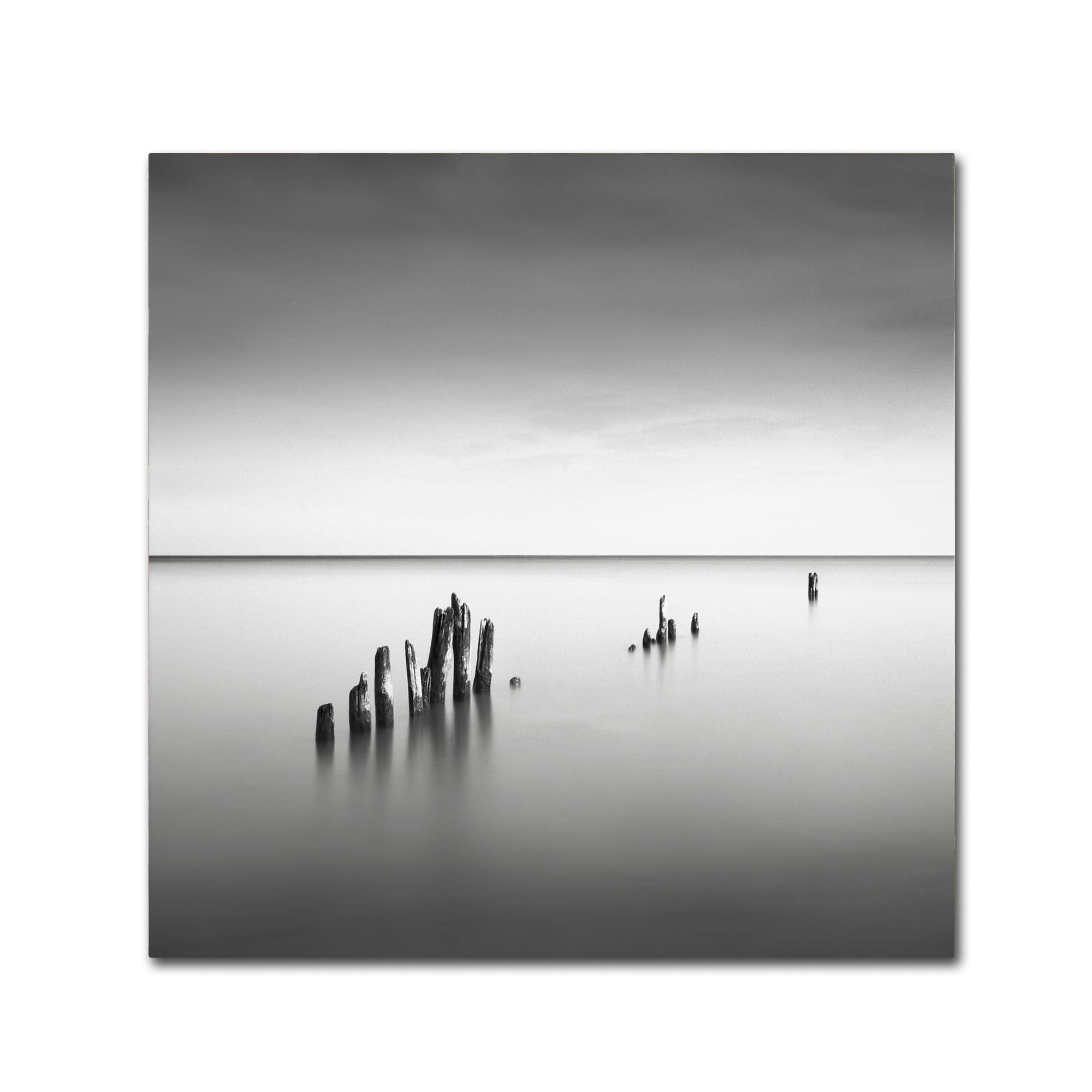 Trademark Fine Art "Slow Fade" Canvas Art by Dave MacVicar