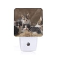 thumbnail image 1 of Balery Cat Family Luz Nocturna LED con Sensor Automático, Enchufe con Sensor Crepuscular, Luz Suave de 0.5W para Dormitorio, Pasillo, Baño-UK, 1 of 7