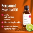 thumbnail image 2 of H’ana Bergamot Essential Oil - 100% Pure and Natural Bergamot Oil for Diffuser, Hair, Shampoo, Skin and Aromatherapy - With a Fresh, Citrusy Scent (1 Fl Oz), 2 of 6