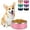 Pink, variant on Stainless   Bowls for Small Medium Sized Dogs Non Slip,Insulated  Bowl,Pet Bowl for  and Water,Rustproof(40oz,)