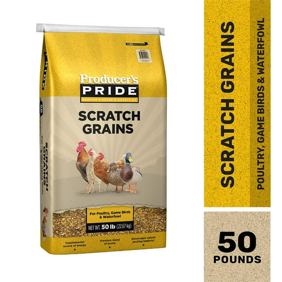 Scratch Grains Chickens
