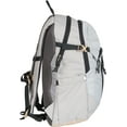 thumbnail image 2 of Ozark Trail 20 Liter Backpack, with Padded Laptop Sleeve, Light Gray Polyester, 2 of 9