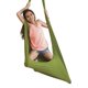 thumbnail image 1 of Juego de columpio y hamaca para terapia de yoga aérea para flexibilidad y alivio del dolor BANYUO  Hogar, 1 of 2