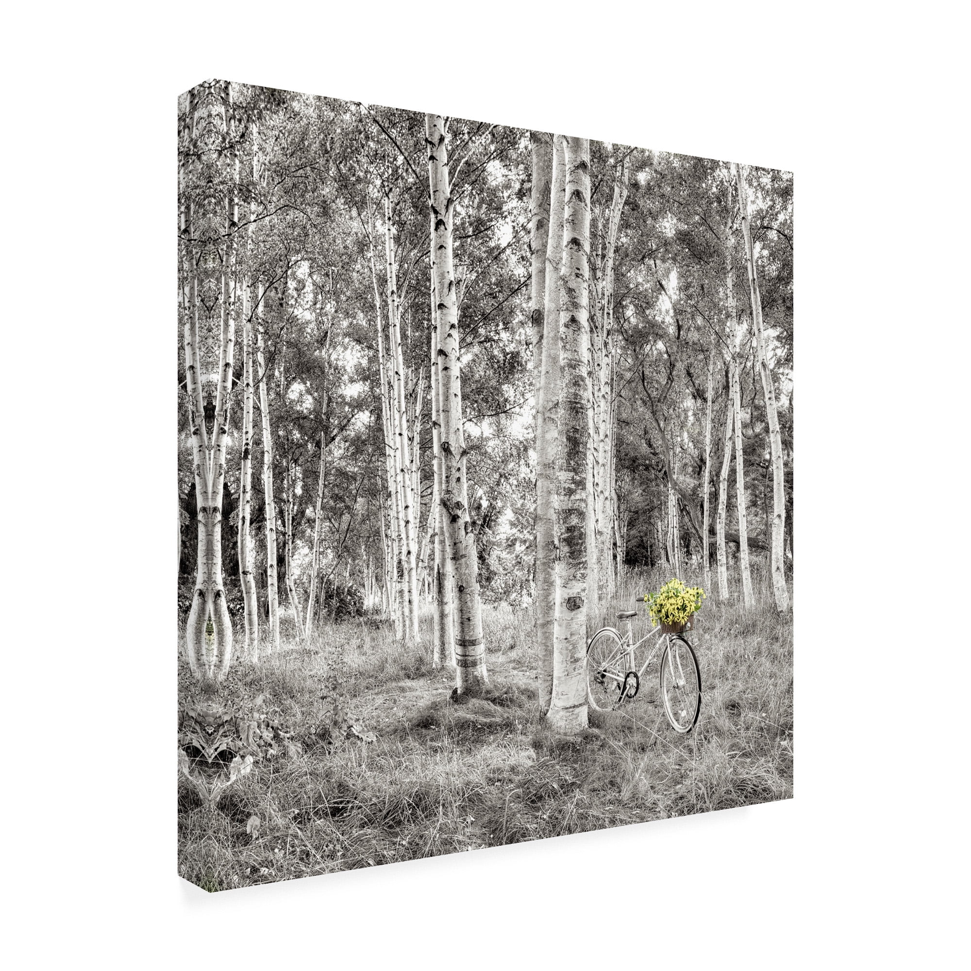 Trademark Fine Art 'Sunflower Bicycle Ride' Canvas Art by Alan Blaustei