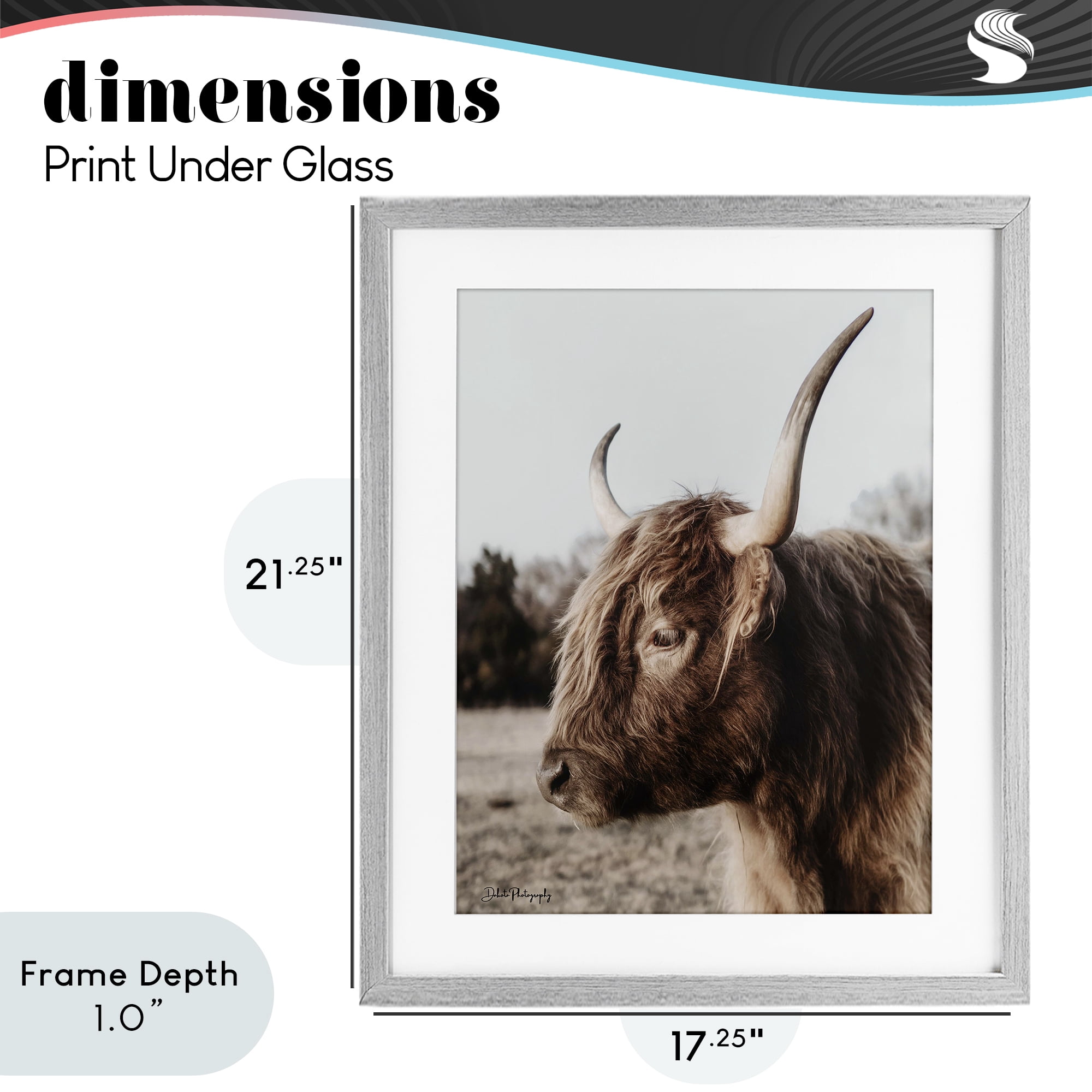 Stupell Industries Horned Cattle Peering Gray Framed Print Under Glass, design by Dakota Diener