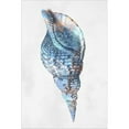 thumbnail image 2 of Great Art Now Urban Sea Shell 3 by Marcus Prime, Framed Wall Art, 12W x 16H, 2 of 2