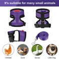 thumbnail image 6 of Chicken Harness and Leash Set for Duck Goose Small Pet Breathable Resizable, 6 of 17