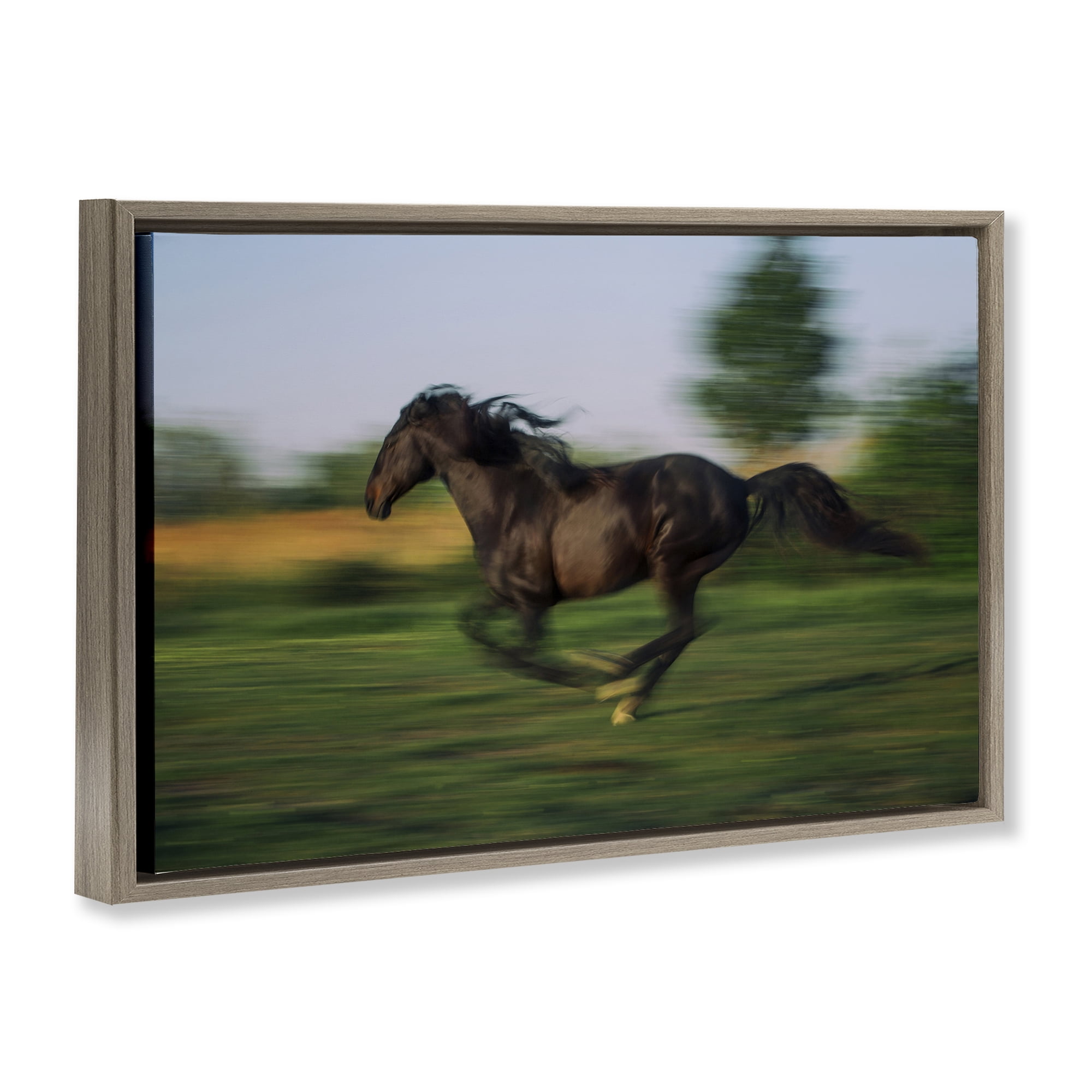 Stupell Industries Dashing Camargue Racehorse Brown Framed Floater Canvas Wall Art, design by Scott Stulberg