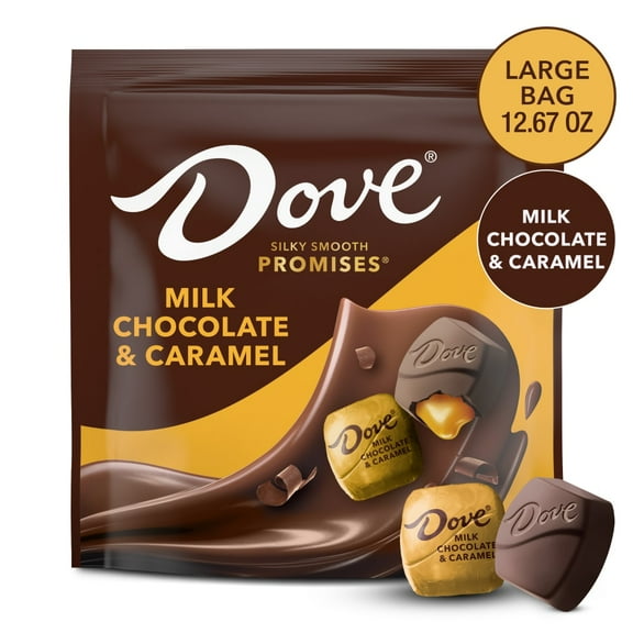 Dove Promises Milk Chocolate & Caramel Candy Large Bag, 12.67 oz
