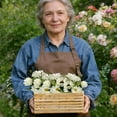 thumbnail image 5 of Meiiso 6-Head Artificial White Sunflowers (Pink Sunflower Stems, Artificial Sunflowers), 1 Bouquet of Artificial Flowers, Sunflower Chrysanthemum Peony Flowers for Table Home Wedding Decoration, 5 of 8