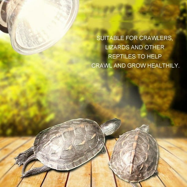 Uvb lamp for turtles walmart cheap