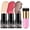 #1#3#5+Black Brush, variant on 4Pcs Blush Highlighter Contour Stick Makeup Kit with Brush Waterproof Long-Lasting for Women Face(#2,#4,#6)