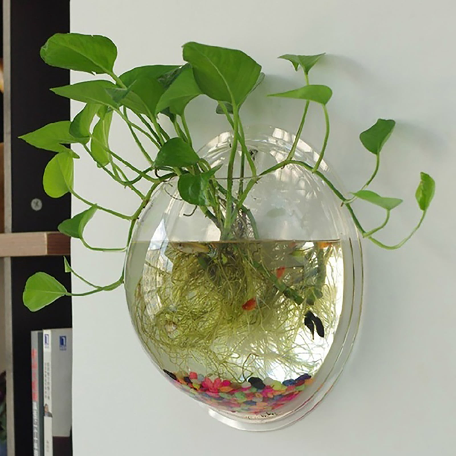 Hevirgo Hanging Wall Mounted Fish Tank Bowl Hanging Bowl for Water Plants, Wall Fish Bubble Tank, Aquarium Wall Decor Plant Fish Bubble - Clear