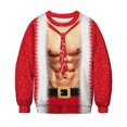 thumbnail image 1 of Sweater Camiseta Para Hombres Mujeres Impresión Digital 3D Cuello Redondo Pullover Sudaderas Para Otoño Invierno Fiesta De Navidad seitruly HA046662-03, 1 of 6