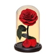 thumbnail image 3 of Regalos del día de San Valentín, decoración de San Valentín, regalos de cumpleaños, manualidades, rosa eterna en cúpula de cristal, regalos de flores , estilo E BLESIY Rosa en la cúpula, 3 of 8