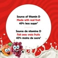 thumbnail image 4 of iÖGO nanö Drinkable Apple-Grape Lactose-Free Yogurt 1%, 4 of 7