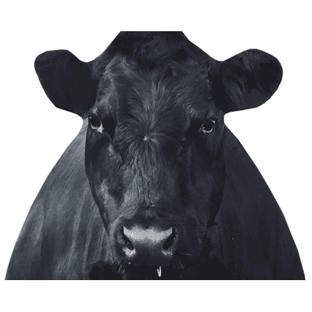 Montana Decoy Bessie Moo Cow