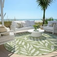 thumbnail image 6 of Addison Rugs Chantille Indoor/Outdoor Transitional Floral Green Washable Round Rug, 8' x 8', 6 of 6
