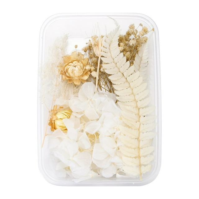 1 Box Real Dried Flower Resin Fillings Expoxy Flower For Epoxy Resin Jewelry Making Craft DIY Supplies Accessories (Forget Me Not)